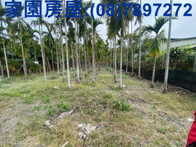 萬巒農地-1