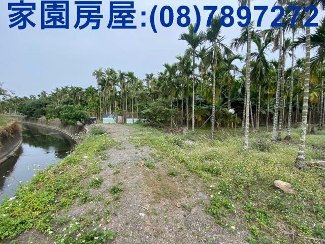 萬巒農地-2