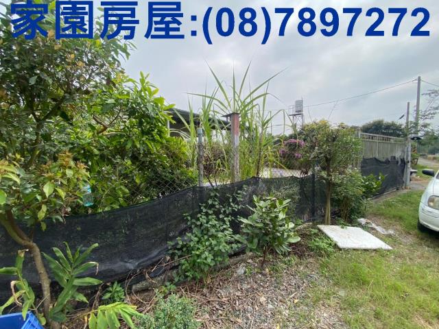 萬巒農地-3