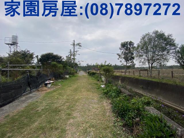 萬巒農地-6