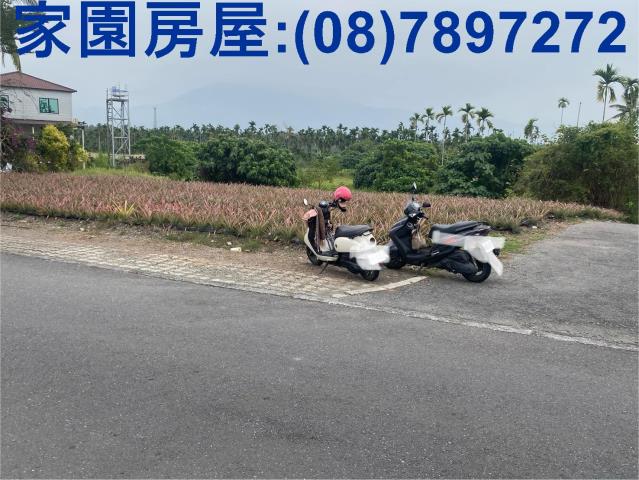 萬巒農地-1