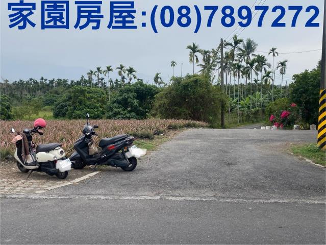萬巒農地-3