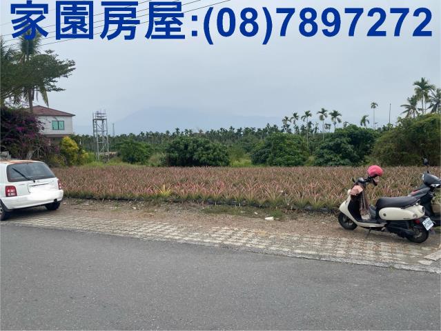 萬巒農地-4