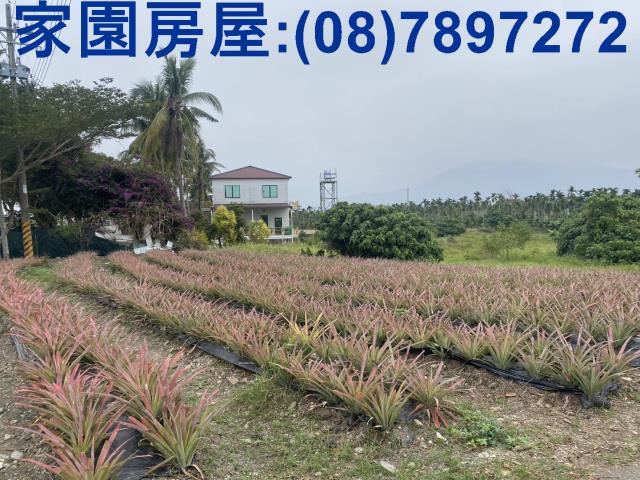 萬巒農地-7