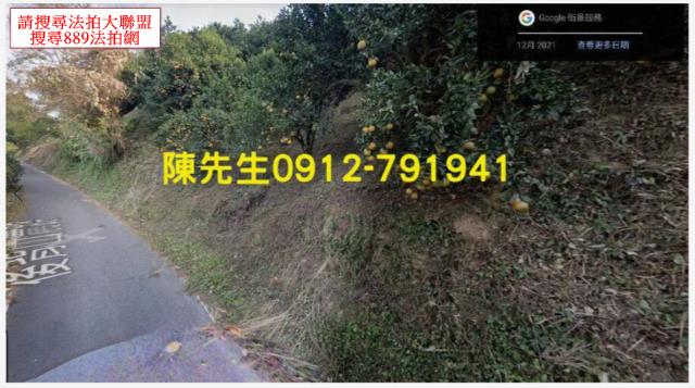 峨眉拍賣農地_山坡地-9