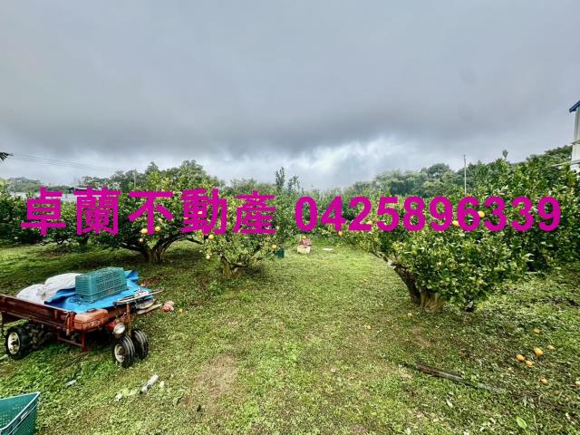 苗栗卓蘭農地_休閒地-3