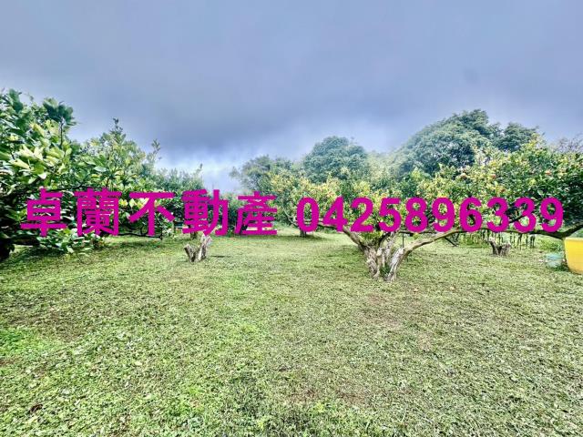 苗栗卓蘭農地_休閒地-5