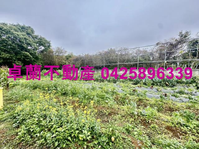 苗栗卓蘭農地_休閒地-6