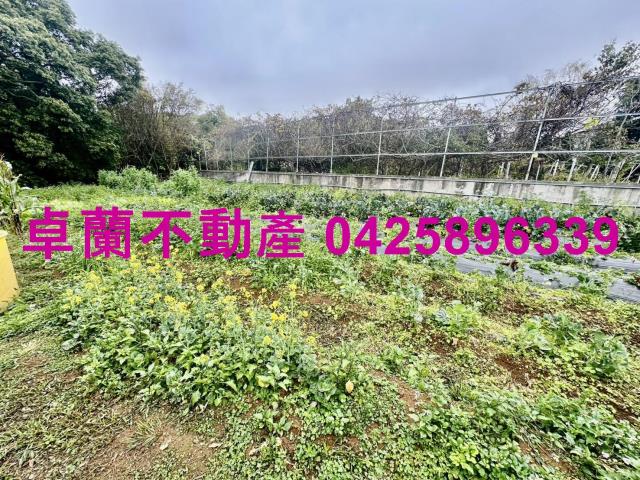 苗栗卓蘭農地_休閒地-7