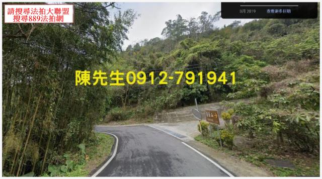 獅潭法拍山坡地_林地-3