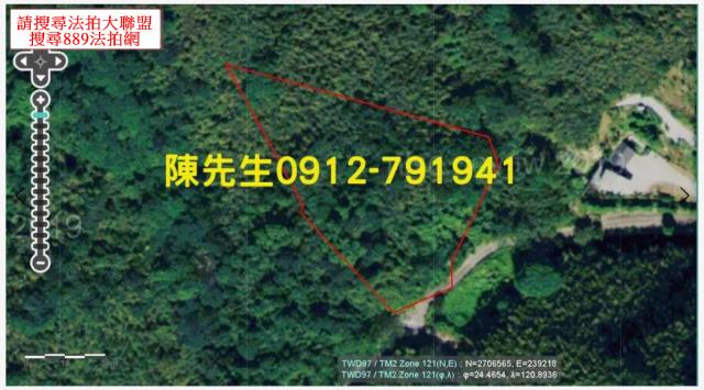 獅潭法拍山坡地_林地-4