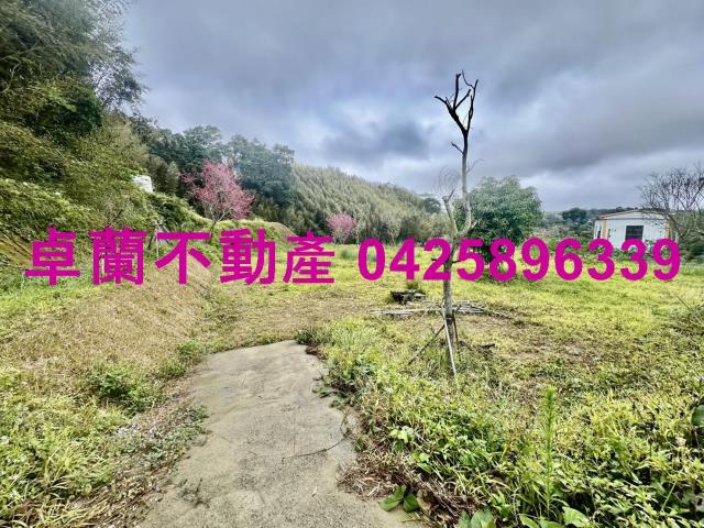 苗栗卓蘭農地_山坡地_休閒地-10