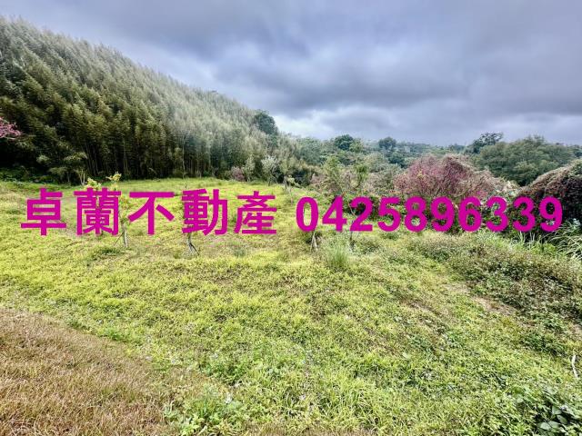 苗栗卓蘭農地_山坡地_休閒地-13