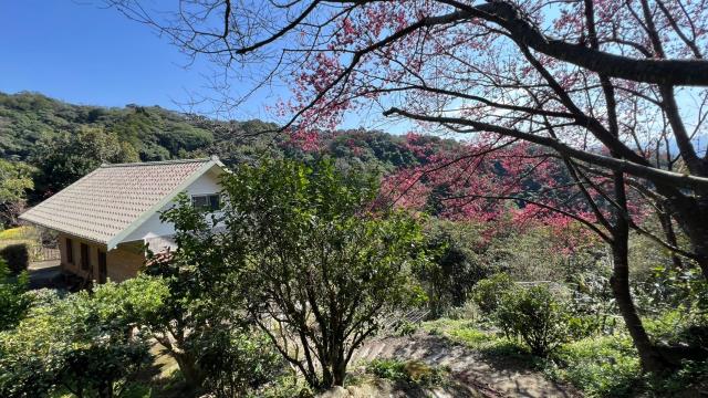 芎林農地_山坡地_休閒地-10
