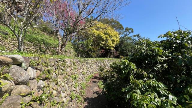 芎林農地_山坡地_休閒地-13