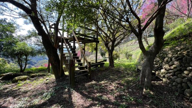 芎林農地_山坡地_休閒地-14