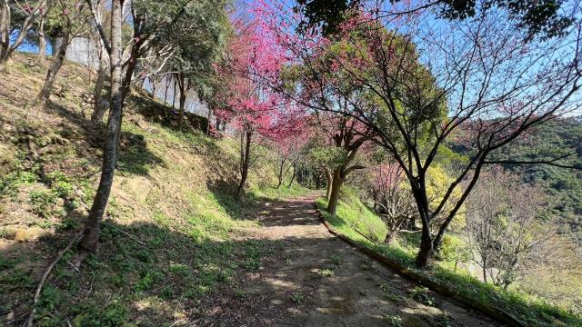 芎林農地_山坡地_休閒地-15