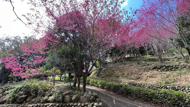芎林農地_山坡地_休閒地-1