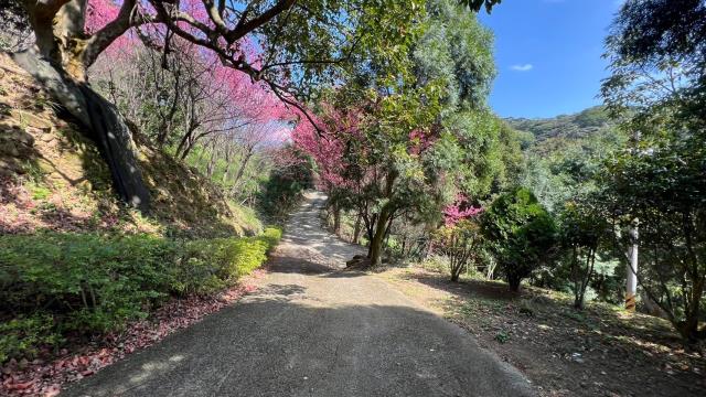 芎林農地_山坡地_休閒地-3
