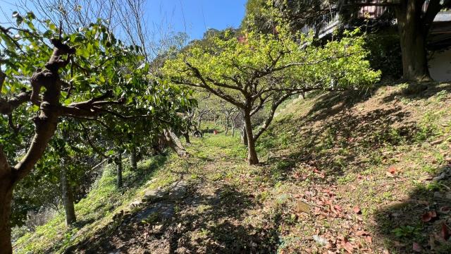 芎林農地_山坡地_休閒地-4