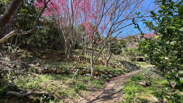芎林農地_山坡地_休閒地-7