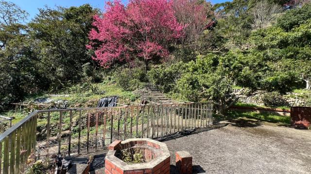 芎林農地_山坡地_休閒地-9