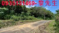 新埔農地_建地_林地-4