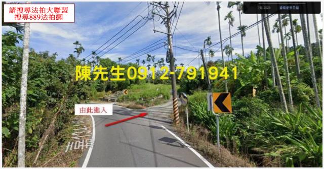 嘉義中埔農地拍賣-11