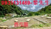新竹芎林農地_林地-3