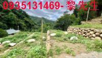 新竹芎林農地_林地-5