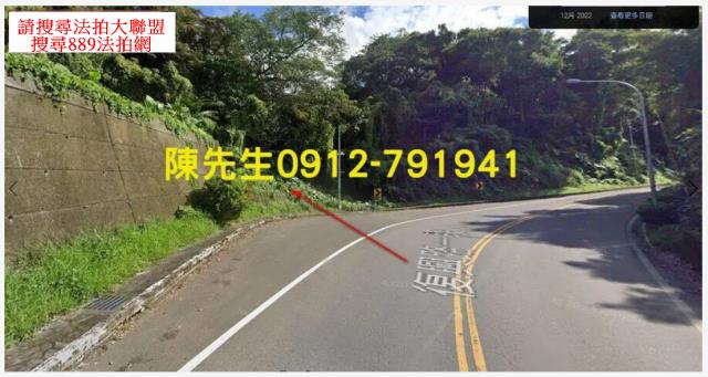 大溪法拍林地-11