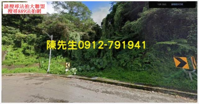 大溪法拍林地-9