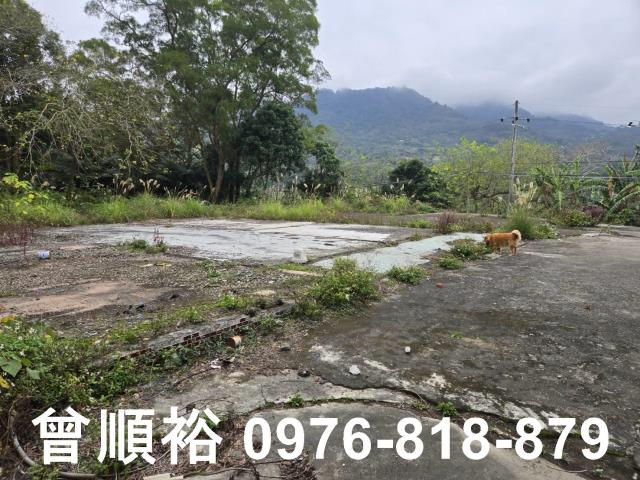 新竹農地_工業地-2