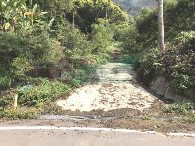 太平農地_山坡地-1