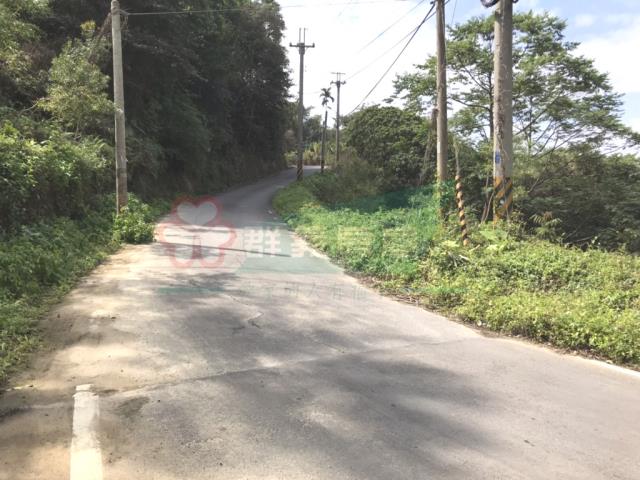 太平農地_山坡地-5