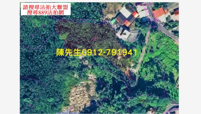 南投法拍山坡地-13