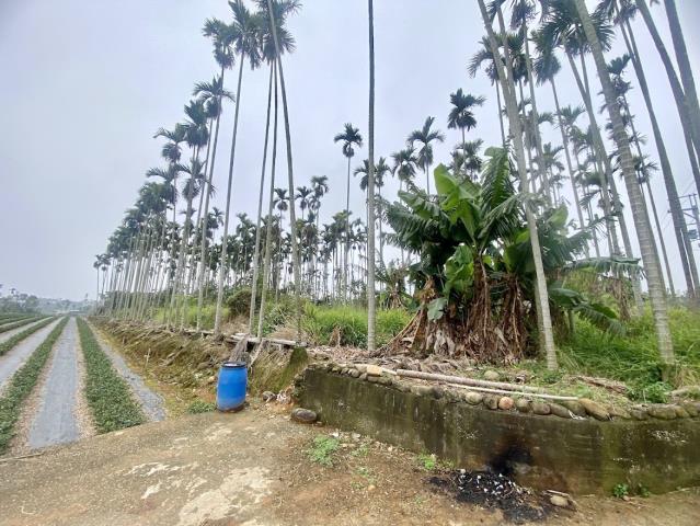 名間農地_休閒地-1