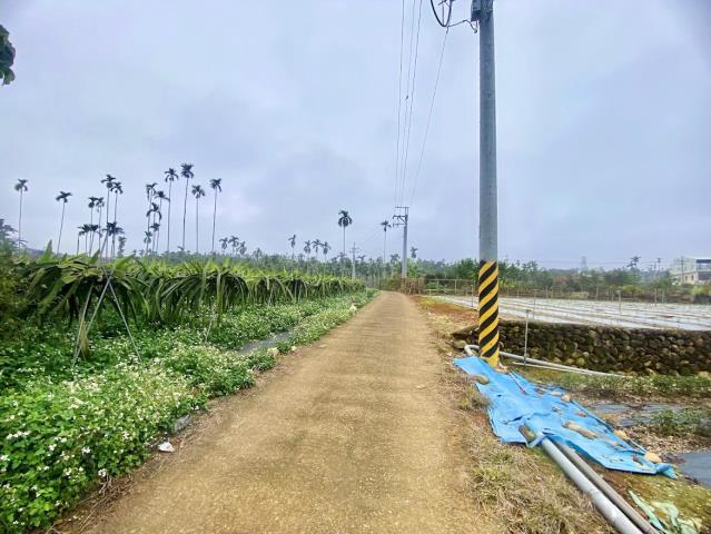 名間農地_休閒地-6