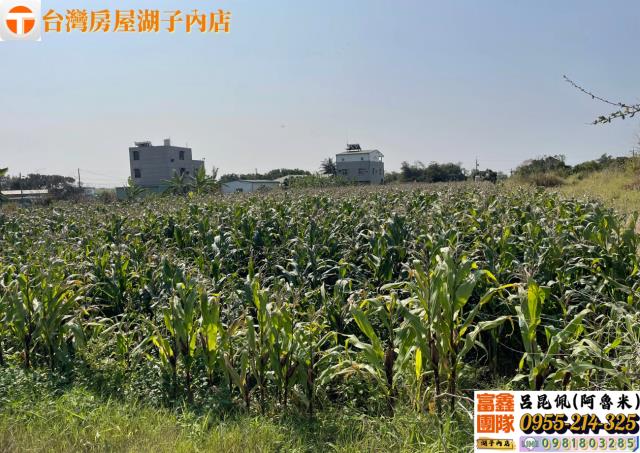 嘉義太保農地-6