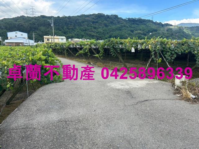苗栗農地-2