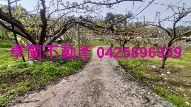 苗栗卓蘭農地-2