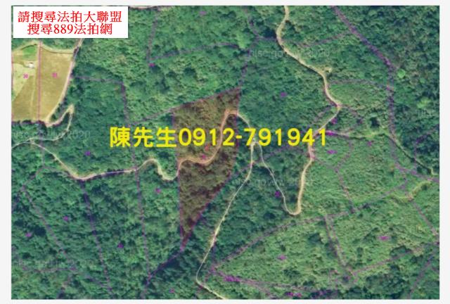 宜蘭大同拍賣農地_山坡地-12