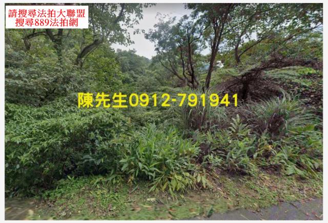 新北汐止拍賣山坡地_林地-10