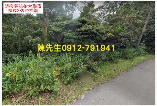 新北汐止拍賣山坡地_林地-12