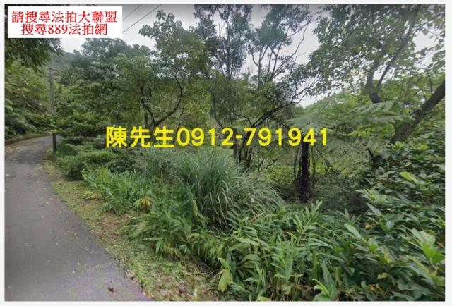 新北汐止拍賣山坡地_林地-13