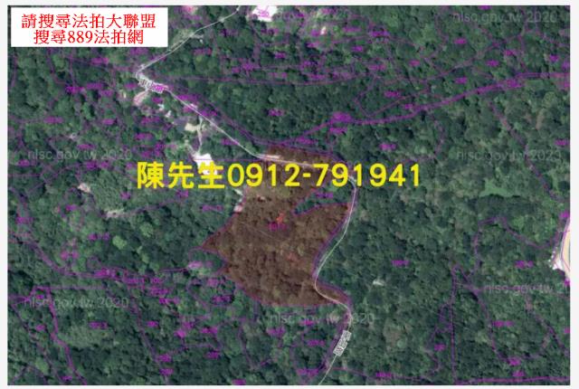 新北汐止拍賣山坡地_林地-15
