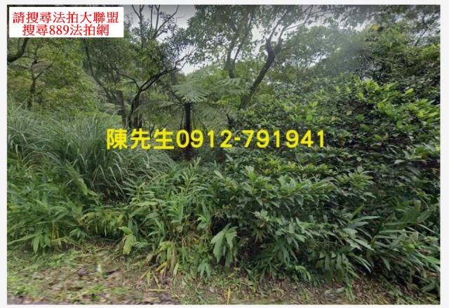 新北汐止拍賣山坡地_林地-2