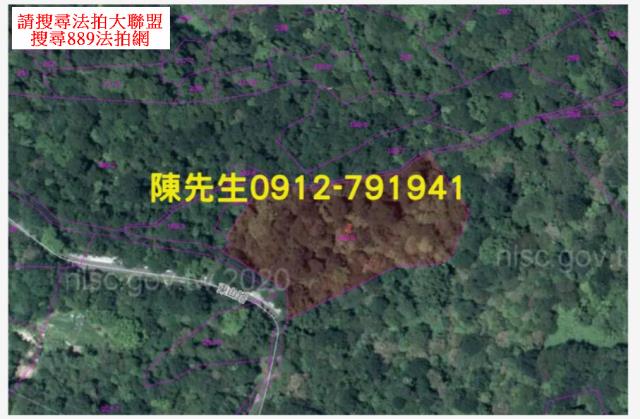 新北汐止山坡地_林地拍賣-14