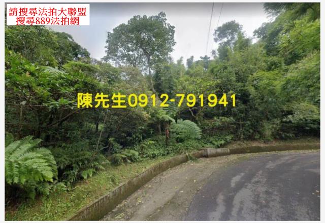 新北汐止山坡地_林地拍賣-2