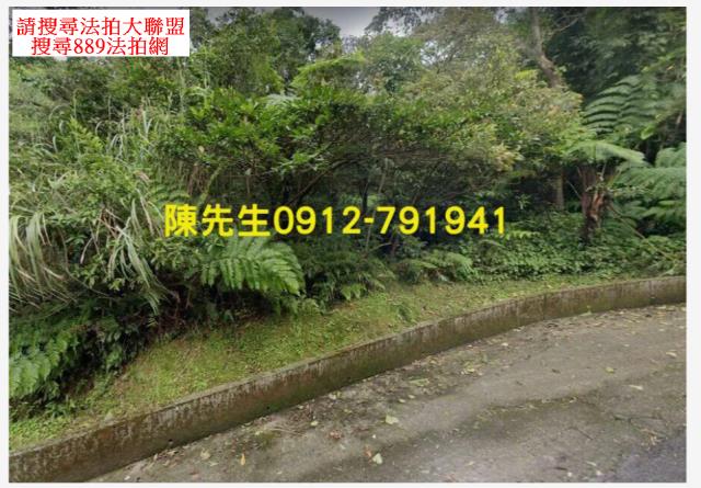 新北汐止山坡地_林地拍賣-9
